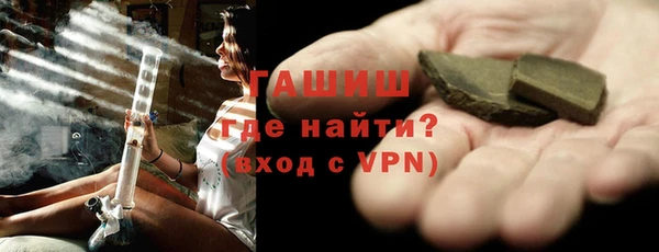 гашик Алексин