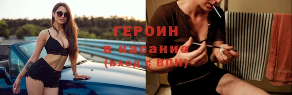 гашик Алексин