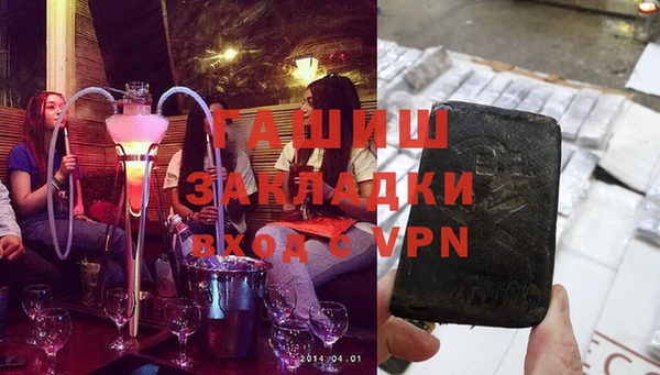 гашик Алексин