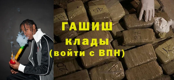 гашик Алексин