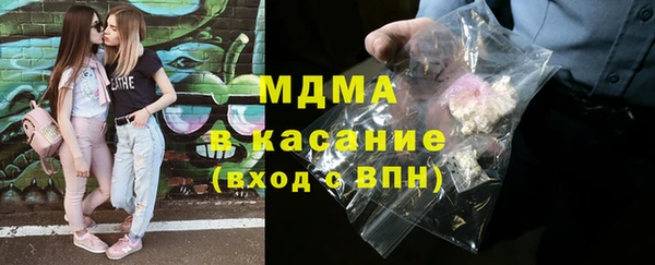 гашик Алексин