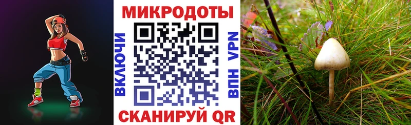 Псилоцибиновые грибы Magic Shrooms маркетплейс клад Туринск
